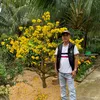 user1621333295477