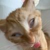 strawbery73_________