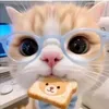 jefte.catabay