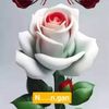 azgar.ali8449