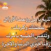 salahalbashir7