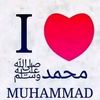 habibti496