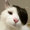 vominhhungg123