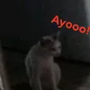 tsecuamay