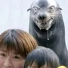 liphoi