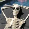 skeletoss1