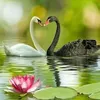 le.duc.anh.ht