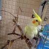 michal_12543