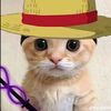 adilashraf790