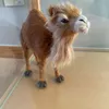 ivarrrivarr