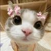 imeldasyalssa