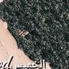 user9915491398067
