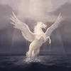 pegaso8062