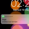 Vuoi tornare?