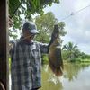 jack.fishly.sunda