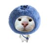 kittylolipopmeow