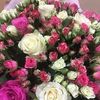 user219609442281