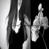 sonyyq_69