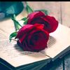 ayesha143223