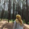 dianyzaini