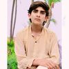 gulsheedshah
