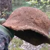 vovsearchcollection