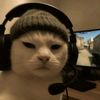 sqwidell17_29