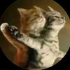 _mewing_or_meowing