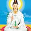 trnhuyhong850