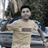 ziad.ali.almasry