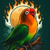 faizankhan_336