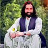 noormuhammad14446gmail.c