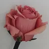 belle_.amee