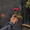 user2140606844935