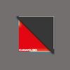 cawo.3d