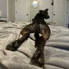 remiboythedog
