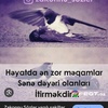 yalan.dnya8405