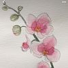 abby_77178