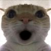 fernandoandresmed0