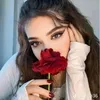 alanood782