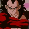 kingvegeta421