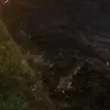 marisolmoreira63