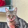 docmitch1
