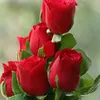hxgdftrfgdrt65