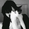 esromel_