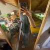 davi__r_