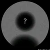 bbnhz4