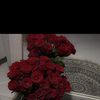 user2584873671316