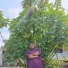 khairulhannan56