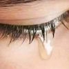 user8852600238111